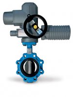 Поворотно-дисковый затвор ECLS